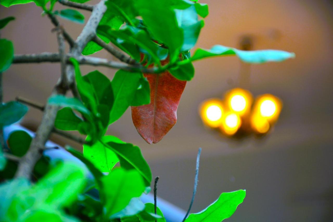 Malaiya Homestay - Grandeur Living Experience จาบัลปูร์ ภายนอก รูปภาพ